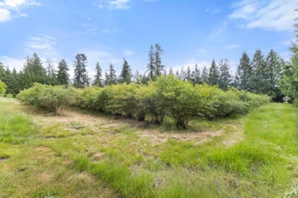Community Amenities Photo (Clubhouse) of 1446 Townline Road, Abbotsford, BC