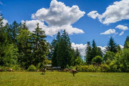 Outdoor Kitchen Photo of 3007 6658 Dow Avenue, Burnaby, BC