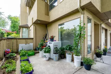 Kitchen Photo of 21 12172 72 Avenue, Surrey, BC