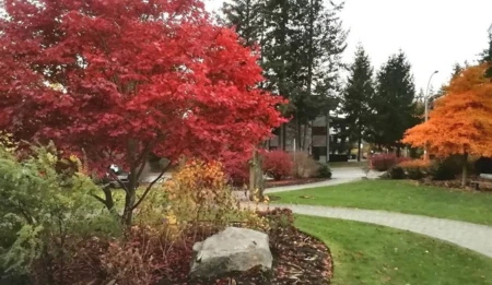 Garden / Landscaping Photo of 102 15020 North Bluff Road, White Rock, BC