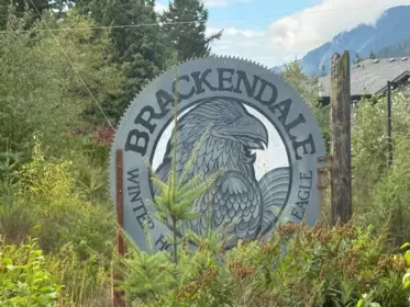 41747 Government Road, Squamish, BC, Squamish — Land for sale