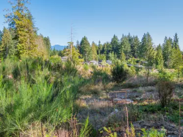Walk-In Closet Photo of LOT 7 King Road, Gibsons, BC