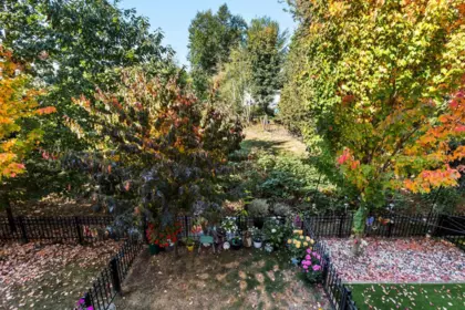 Breakfast Nook Photo of 53 27735 Roundhouse Drive, Abbotsford, BC