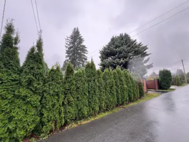 1056 Prairie Avenue, Port Coquitlam, BC, Port Coquitlam — Single Family Residence for sale