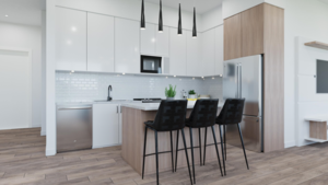 317 163 175a Street, Surrey, BC