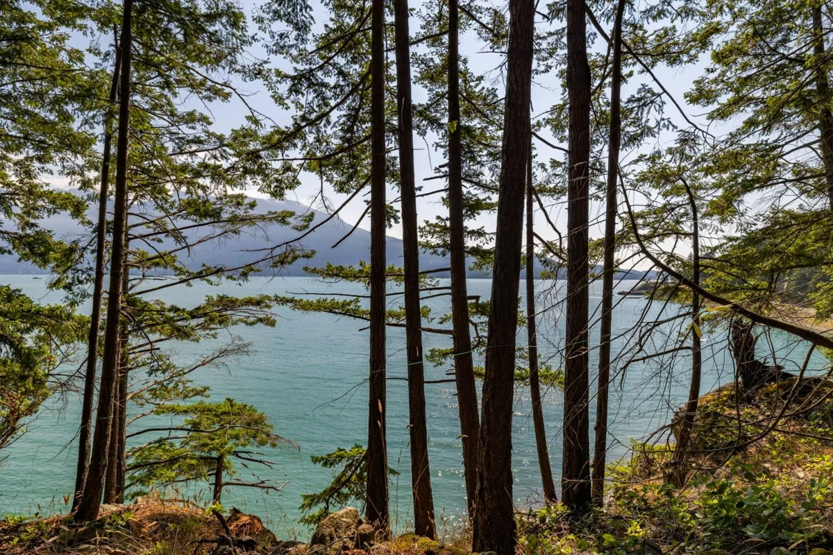 Basement Recreation Room Photo of 1345 Catalina Road, Bowen Island, BC