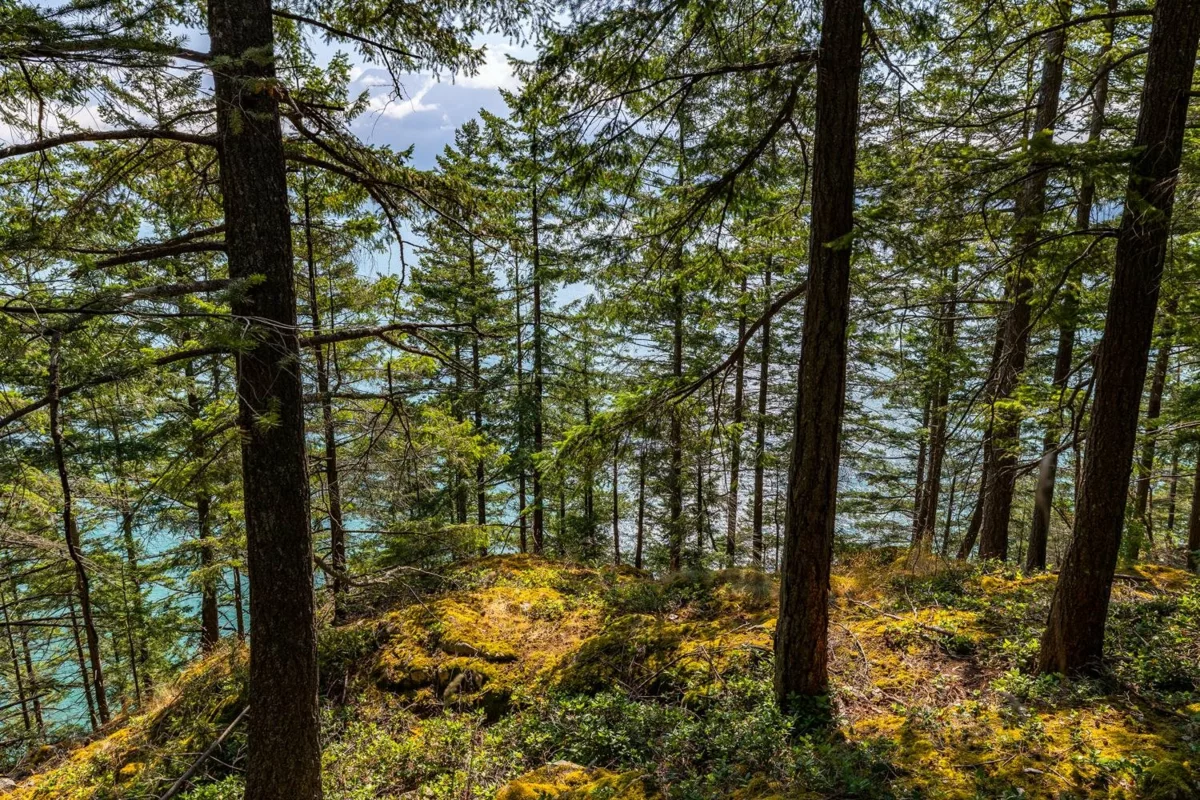 Bedroom 3 Photo of 1345 Catalina Road, Bowen Island, BC