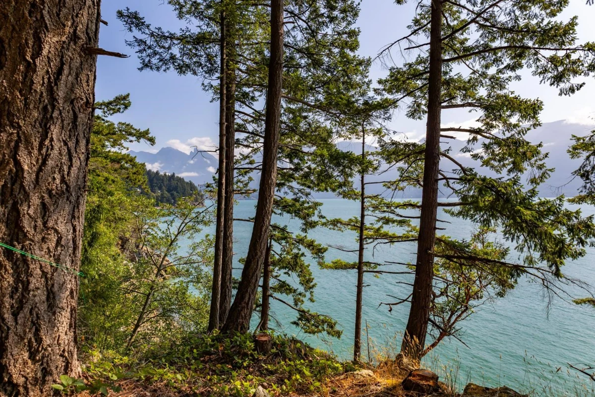 Office / Den Photo of 1345 Catalina Road, Bowen Island, BC