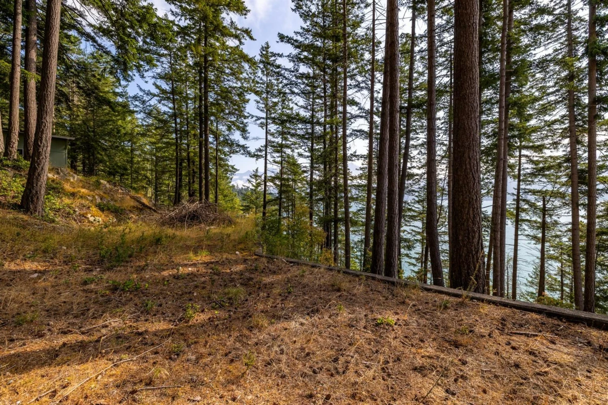 Pantry Photo of 1345 Catalina Road, Bowen Island, BC