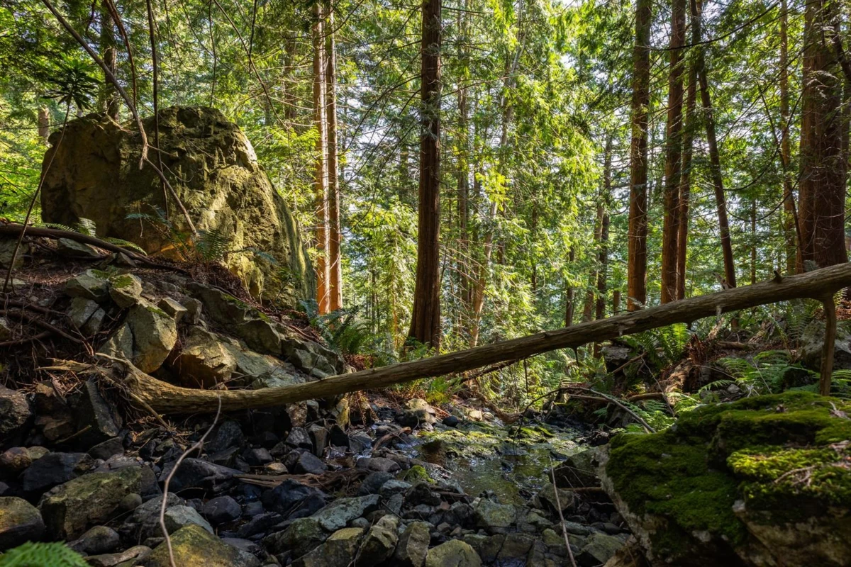 Powder Room Photo of 1345 Catalina Road, Bowen Island, BC