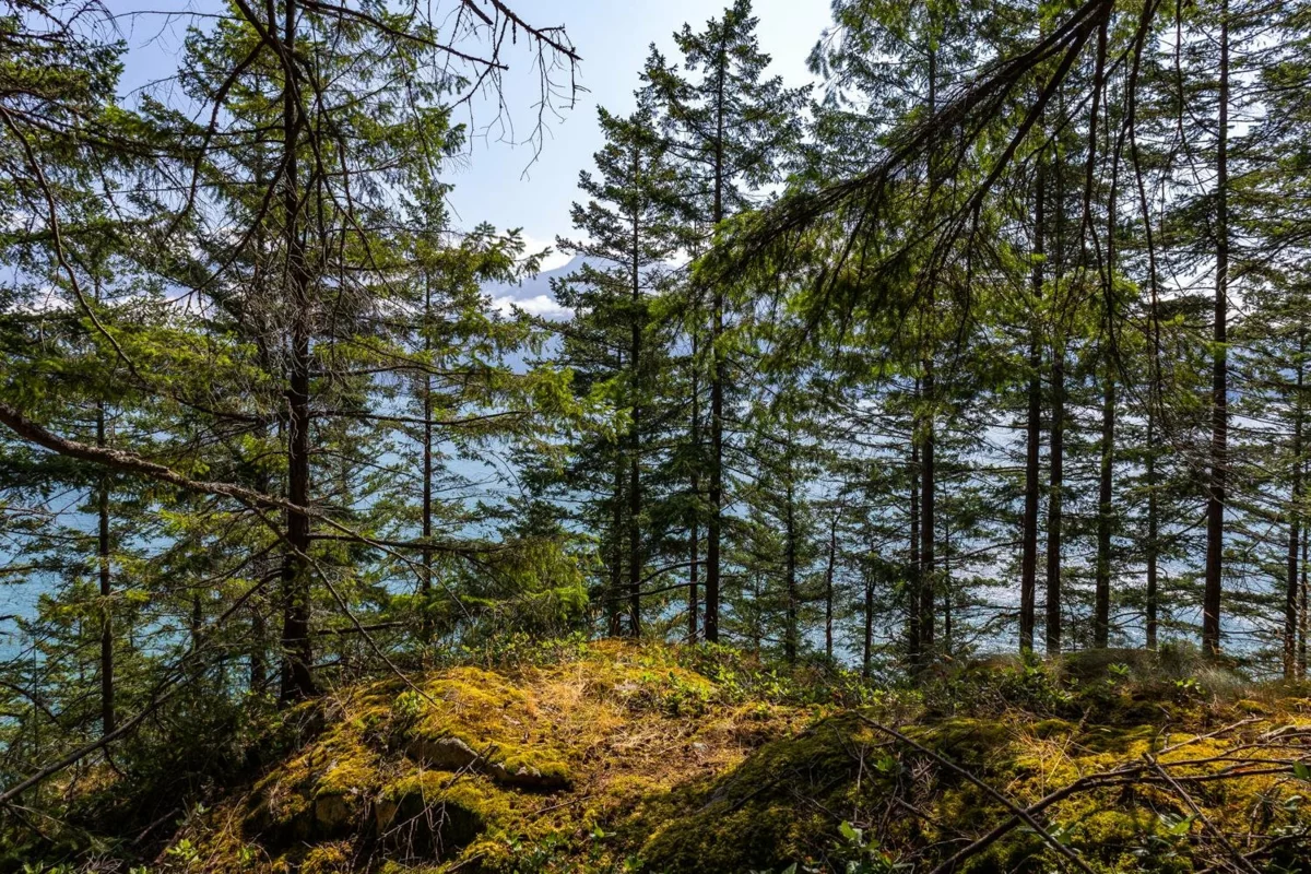 Primary Bathroom Photo of 1345 Catalina Road, Bowen Island, BC