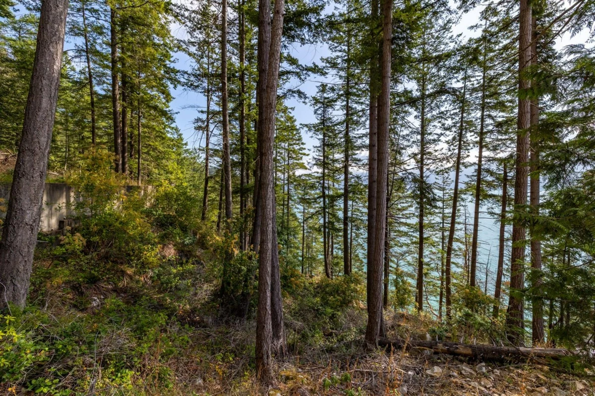Primary Bedroom Photo of 1345 Catalina Road, Bowen Island, BC