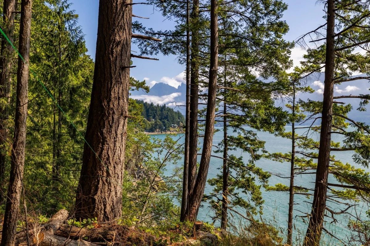 Walk-In Closet Photo of 1345 Catalina Road, Bowen Island, BC
