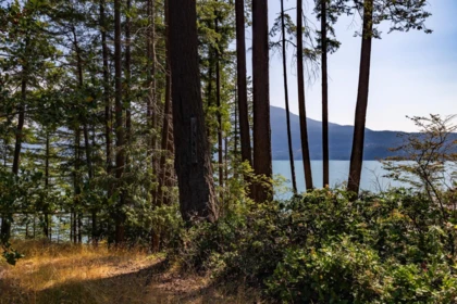 1345 Catalina Road, Bowen Island, BC, Bowen Island — Land for sale