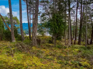 Basement Recreation Room Photo of LOT 13 Flagship Road, Pender Harbour, BC