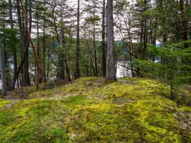 Loft / Bonus Room Photo of LOT 13 Flagship Road, Pender Harbour, BC