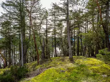 Office / Den Photo of LOT 13 Flagship Road, Pender Harbour, BC