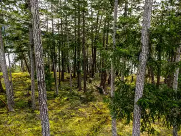 Powder Room Photo of LOT 13 Flagship Road, Pender Harbour, BC