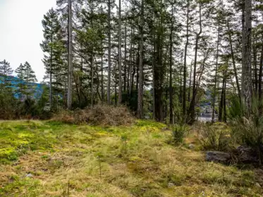 Walk-In Closet Photo of LOT 13 Flagship Road, Pender Harbour, BC
