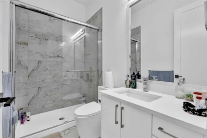 Aerial View of 12927 115a Avenue, Surrey, BC