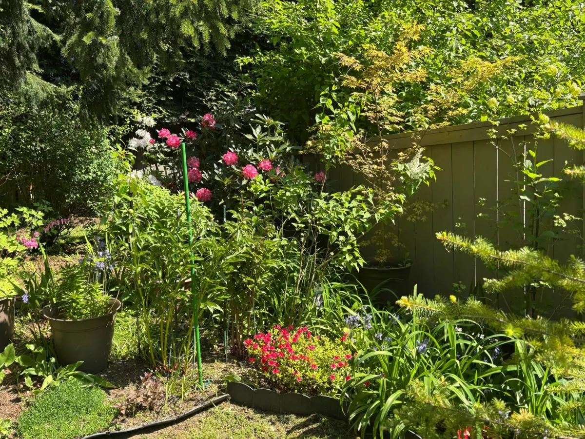 Community Amenities Photo (Clubhouse) of 16 3379 Morrey Court, Burnaby, BC