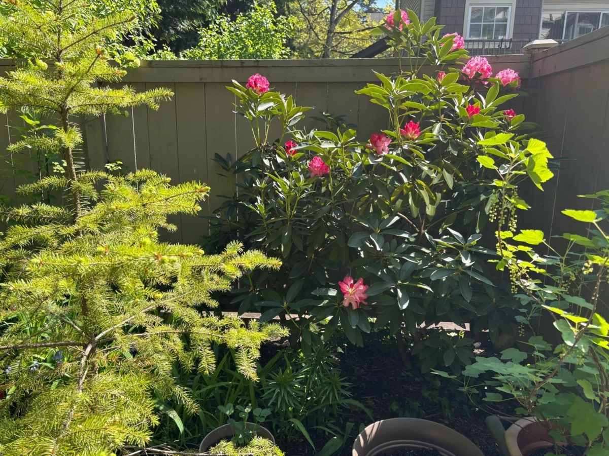 Fitness Center Photo Near 16 3379 Morrey Court, Burnaby, BC