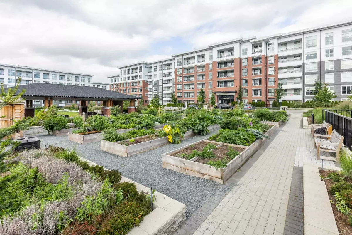 Community Amenities Photo (Clubhouse) of C610 8150 207 Street, Langley, BC