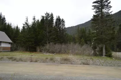 47080 Snowmist Drive, Mission, BC, Hemlock —  bed land for sale