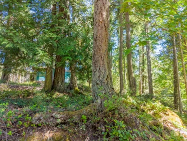 Outdoor Patio Photo of 118 Burrill Road, Galiano Island, BC