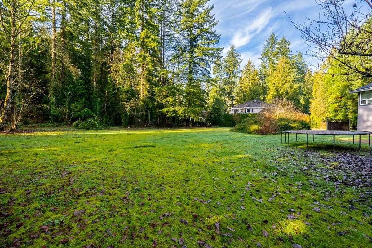 Aerial View of 21022 42 Avenue, Langley, BC