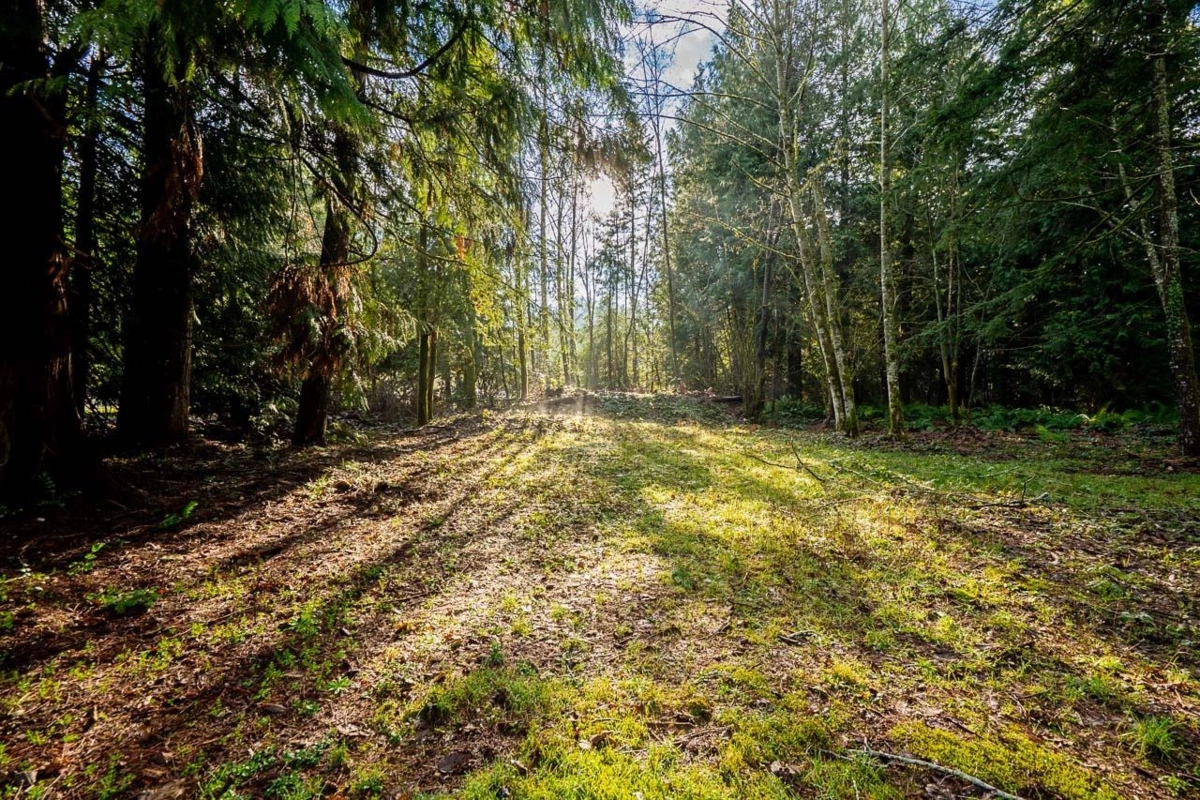 Neighborhood Park Photo Near 21022 42 Avenue, Langley, BC