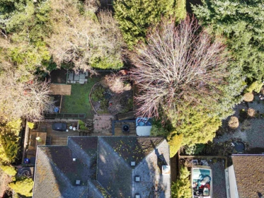 13385 60 Avenue, Surrey, BC