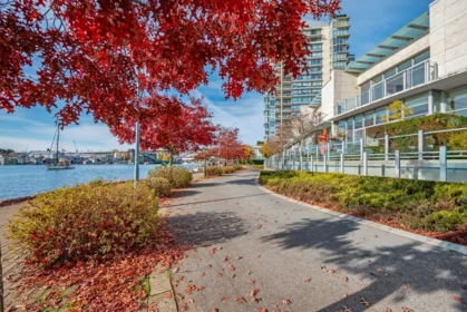 Swimming Pool Photo of 1576 Homer Mews, Vancouver, BC