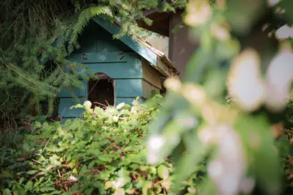 Hot Tub / Spa Photo of 8096 Westwood Road, Halfmoon Bay, BC