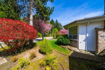 Backyard Photo of 14206 20 Avenue, Surrey, BC