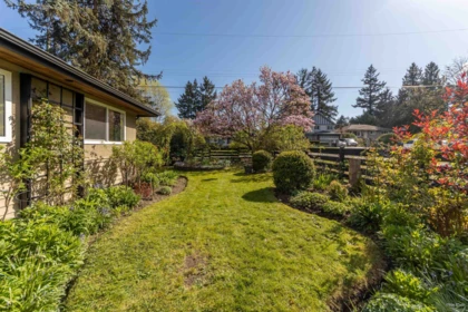 Kitchen Photo of 14735 109a Avenue, Surrey, BC