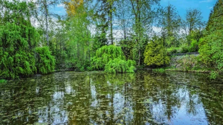 Swimming Pool Photo of 8091 232 Street, Langley, BC