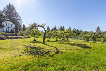 Front Yard Photo of 162 210 Street, Langley, BC