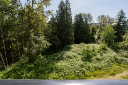 Neighborhood Park Photo Near 409 22315 122 Avenue, Maple Ridge, BC