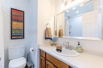 Powder Room Photo of 3924 Waterton Crescent, Abbotsford, BC
