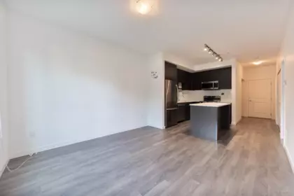 Kitchen Photo of 103 13623 81a Avenue, Surrey, BC