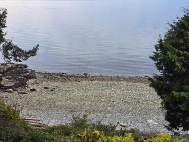 2405 Milliner Road, Roberts Creek, BC, Roberts Creek — Single Family Residence for sale