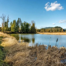 35775 Lougheed Highway, Mission, BC, Mission — Land for sale