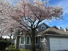 30 9731 Capella Drive, Richmond, BC