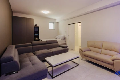 Basement Recreation Room Photo of 22 10595 Delsom Crescent, Delta, BC
