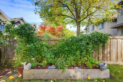 Playground / Recreational Area Near 29 11229 232 Street, Maple Ridge, BC