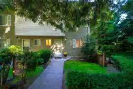MLS R3036378