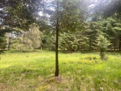 1830 Seymour Road, Gabriola Island, BC