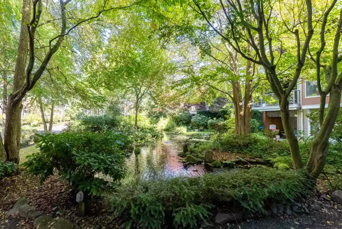 Backyard Photo of 125 5700 Andrews Road, Richmond, BC