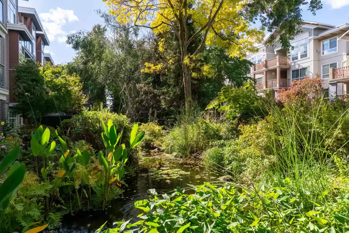 Outdoor Kitchen Photo of 125 5700 Andrews Road, Richmond, BC